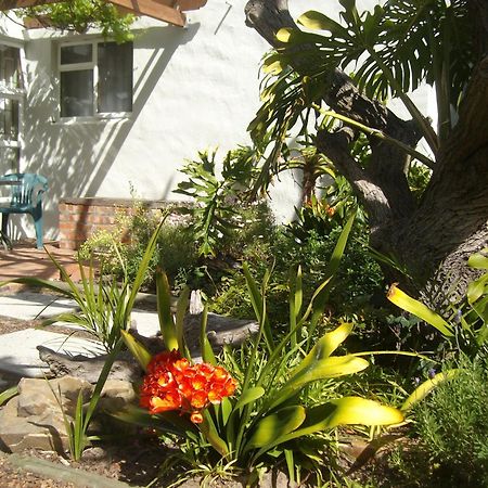 Be My Guest Lodge Bloubergstrand Pokój zdjęcie
