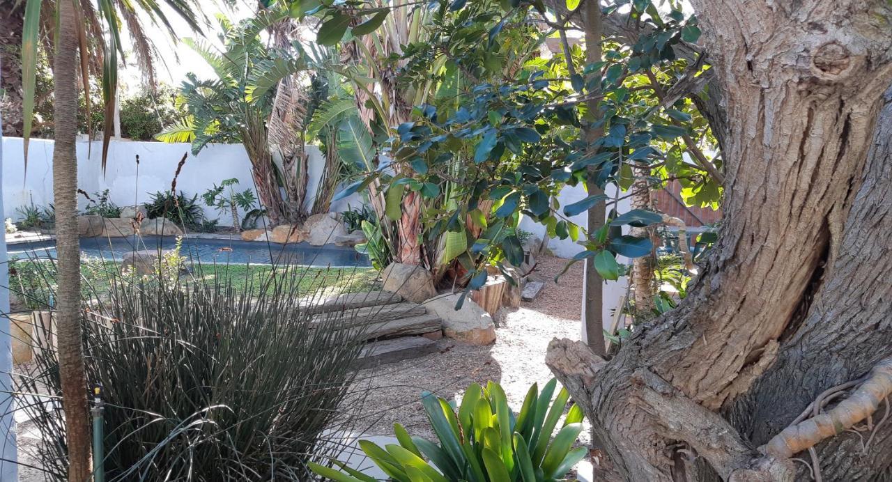 Be My Guest Lodge Bloubergstrand Zewnętrze zdjęcie